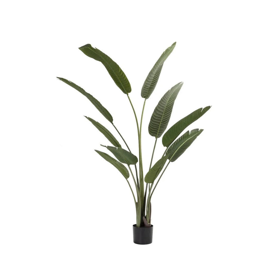 Artificial birds of paradise Strelitzia plant 160cm in a pot