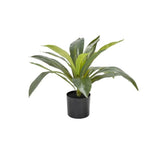 Artificial Dracaena fragrans plant 50cm in a pot