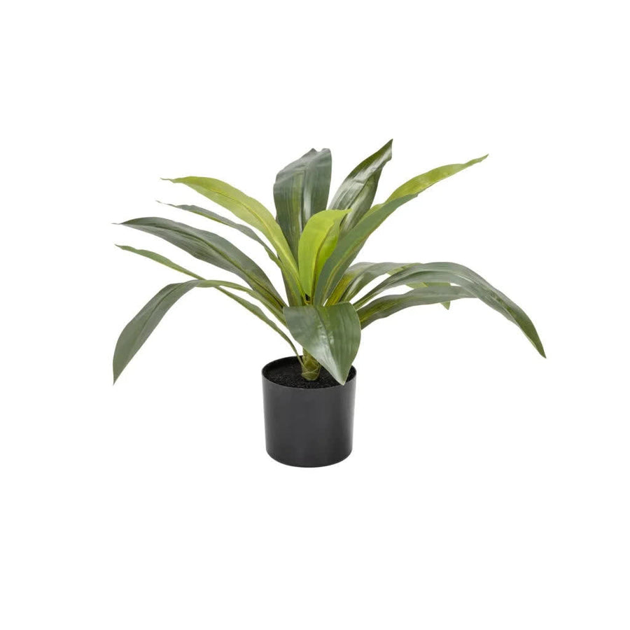 Artificial Dracaena fragrans plant 50cm in a pot