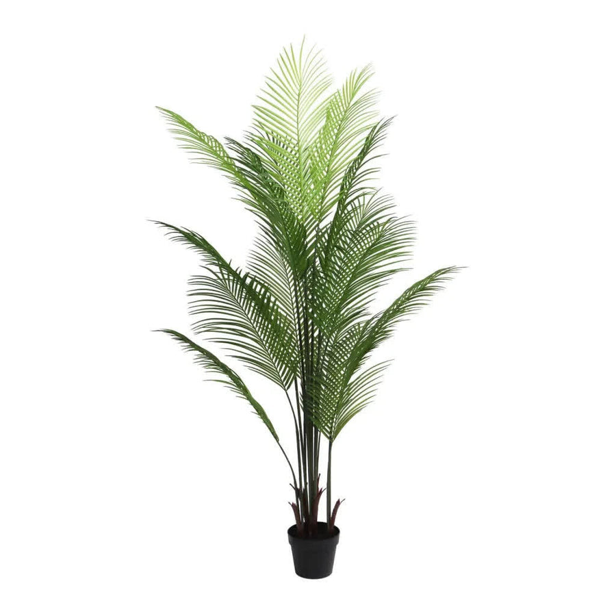 Artificial Phoenix palm tree 160cm tall in a black pot