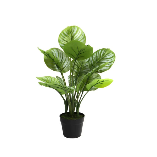 Artificial apple leaf plant 70cm in a black pot