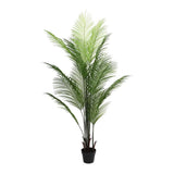 Artificial Phoenix palm tree 160cm tall in a black pot
