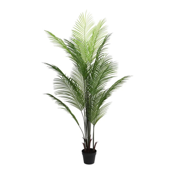 Artificial Phoenix palm tree 160cm tall in a black pot