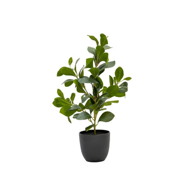 Artificial Plants