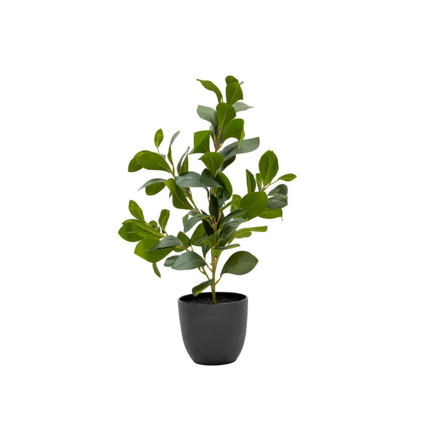 Artificial rubber plant 51cm with glossy green leaves in a pot